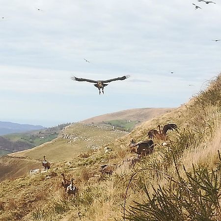 La Pasiega San Roque de Ríomiera Екстериор снимка