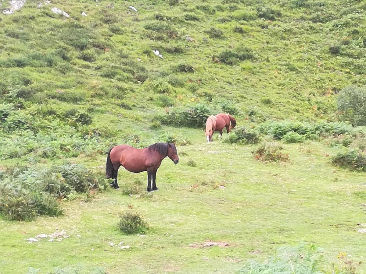 La Pasiega San Roque de Ríomiera Екстериор снимка